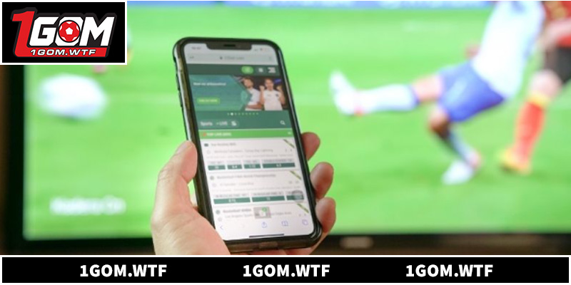 Bảng kèo đa môn từ bóng đá đến Olympic